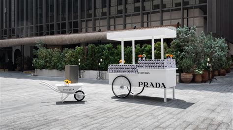 prada pop up flower|Prada pop up.